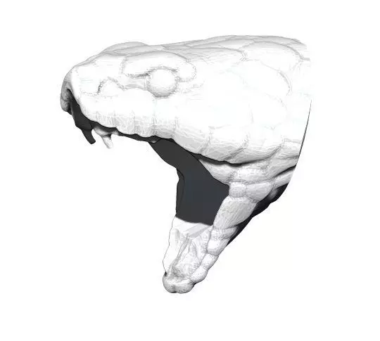 Snake Cobra Ring 3D print model_0