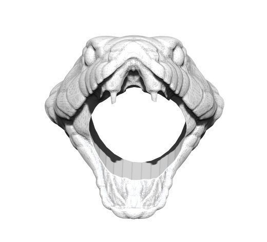 Snake Cobra Ring 3D print model_1