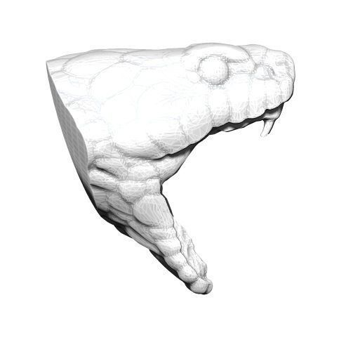 Snake Cobra Ring 3D print model_2