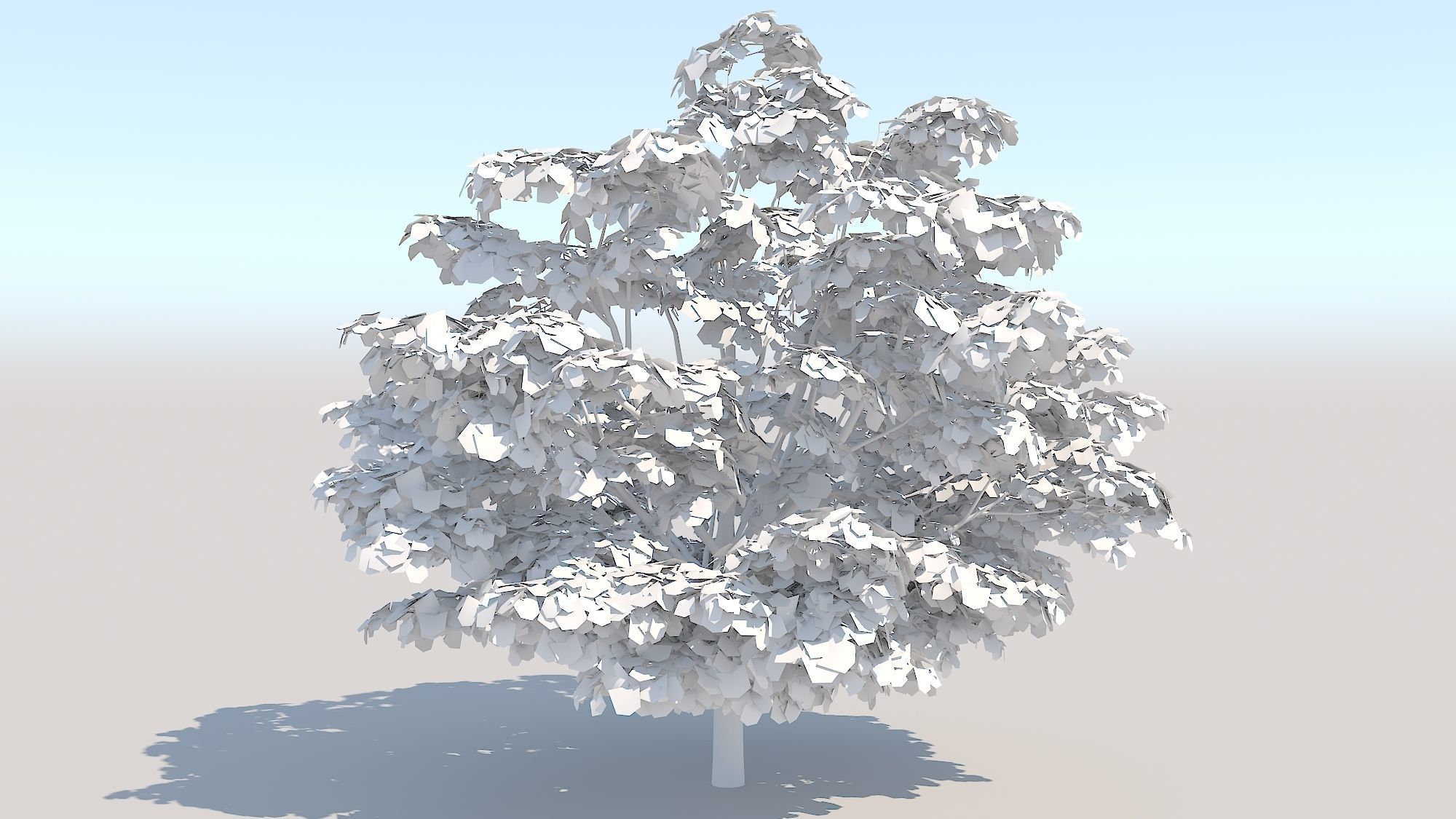 Maple Acer Tree 05 ArchViz 3D model_14