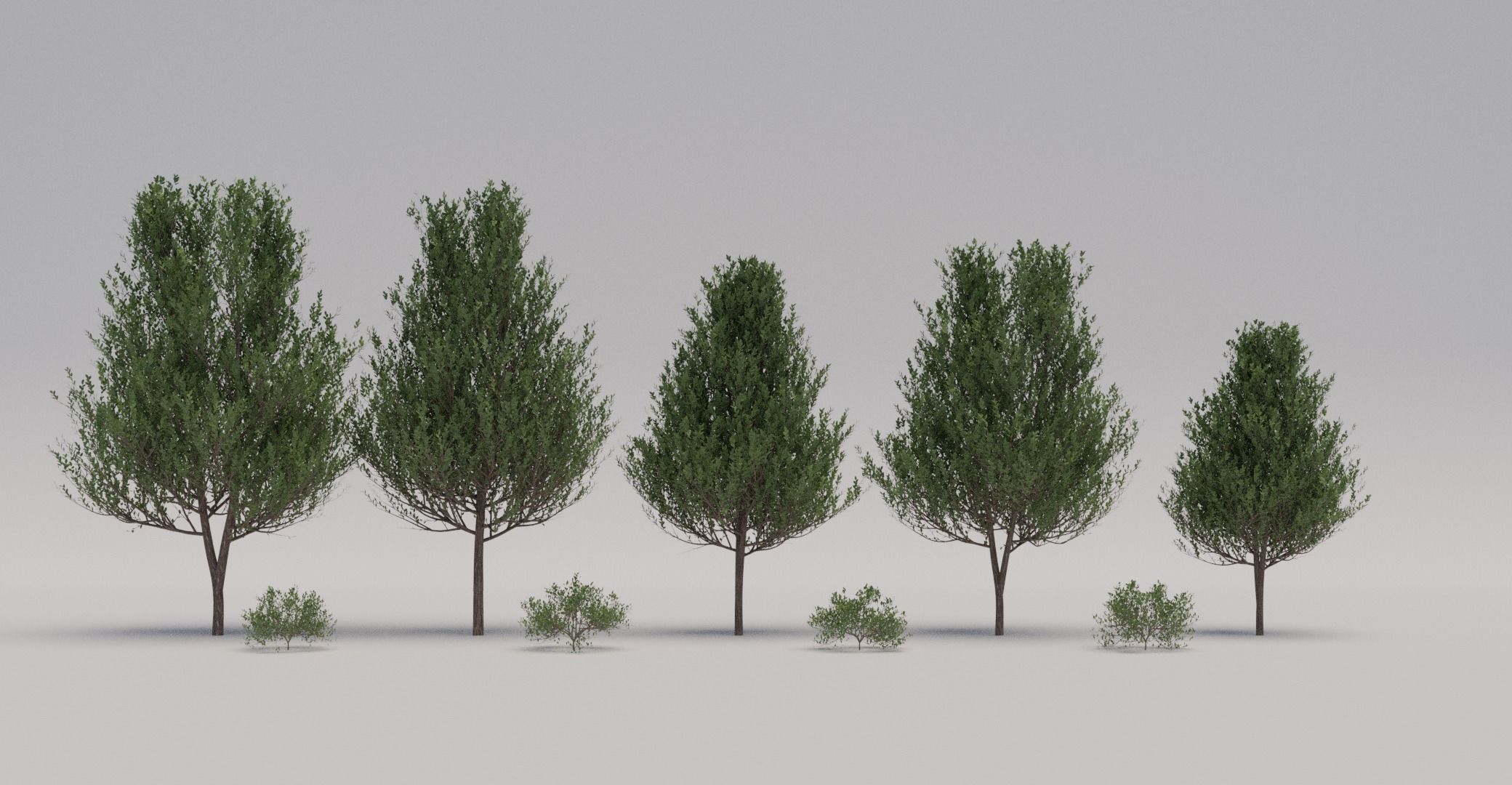 Generic Tree Pack 1 Free 3D model_1
