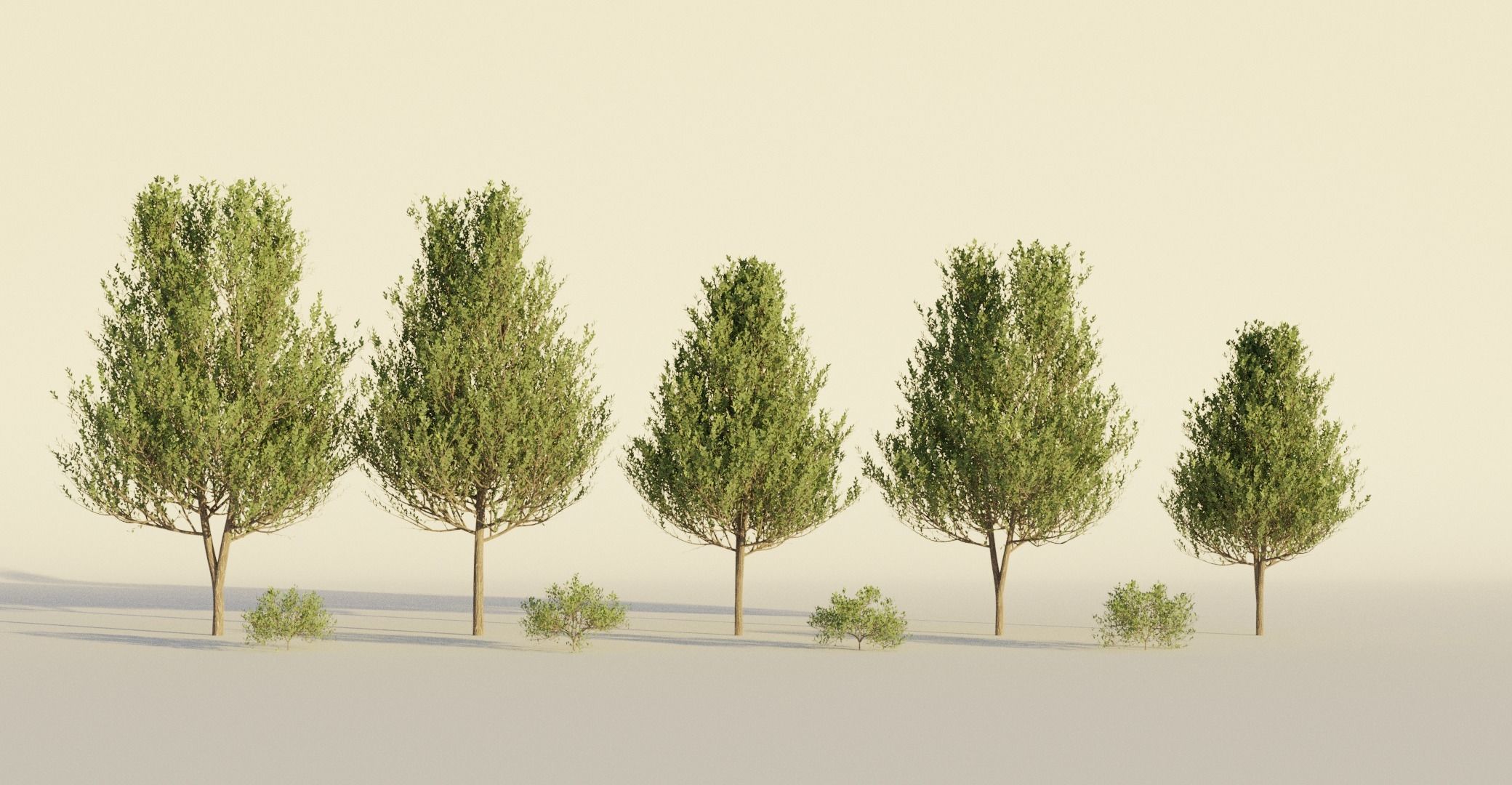 Generic Tree Pack 1 Free 3D model_2