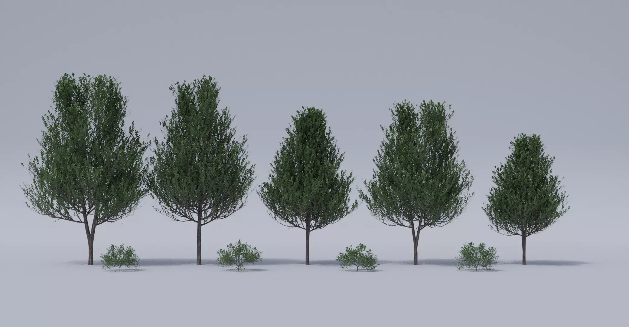 Generic Tree Pack 1 Free 3D model_0
