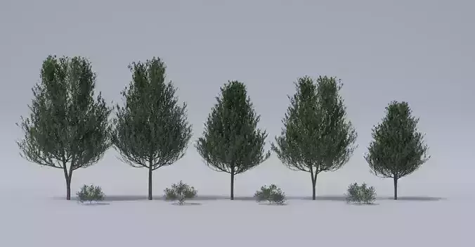 Generic Tree Pack 1 Free 3D model