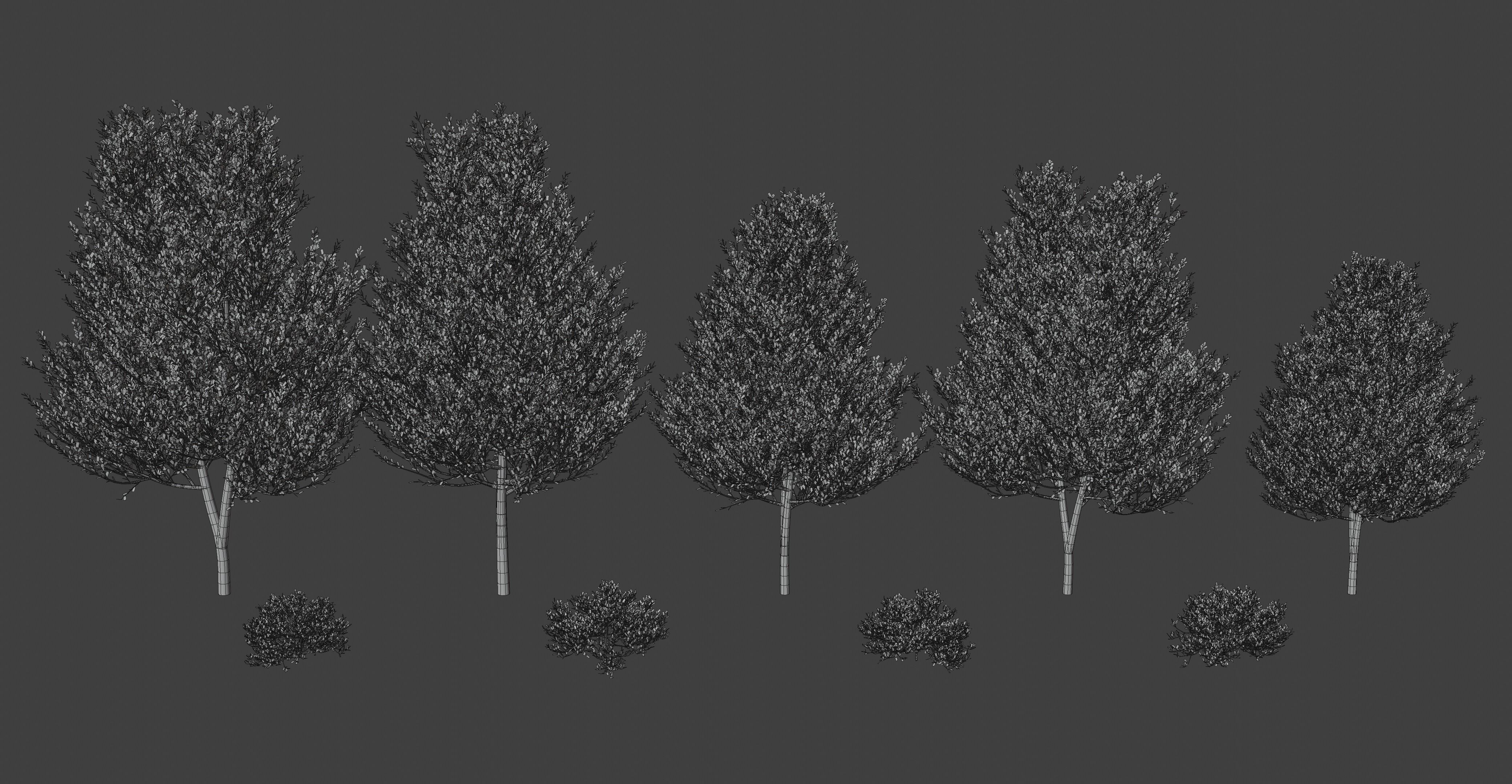 Generic Tree Pack 1 Free 3D model_4