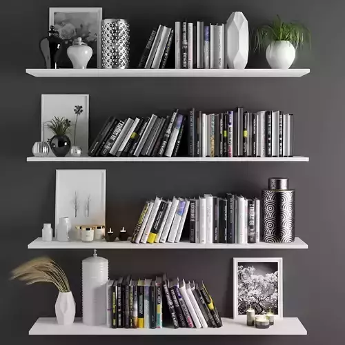 set1101 shelf with books