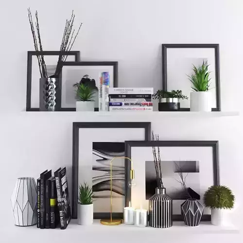 set206 shelf with frames and plants