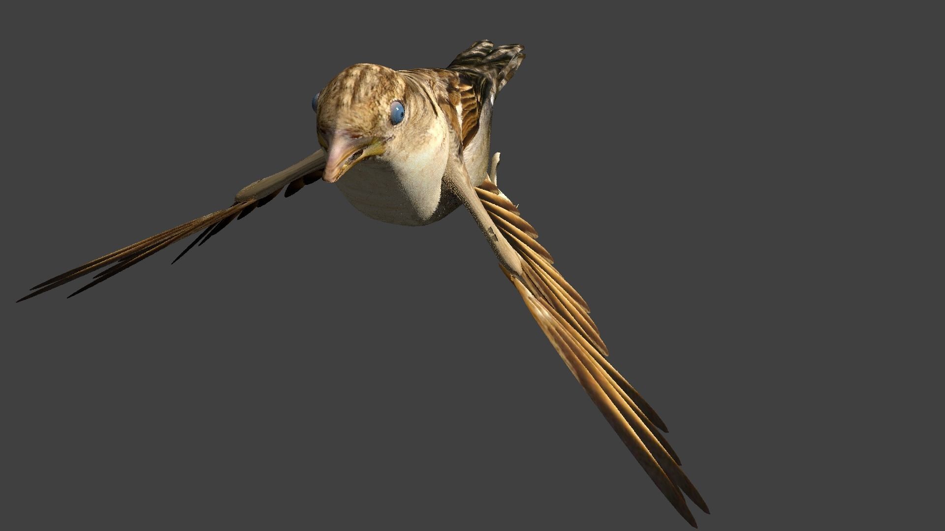 sparrow bird flying in air 3D model_2