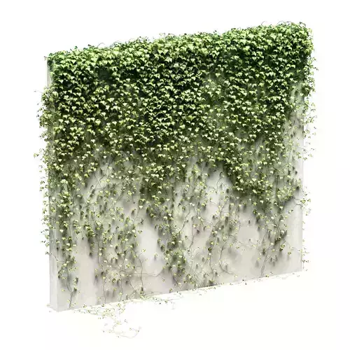 Ivy for fence v3