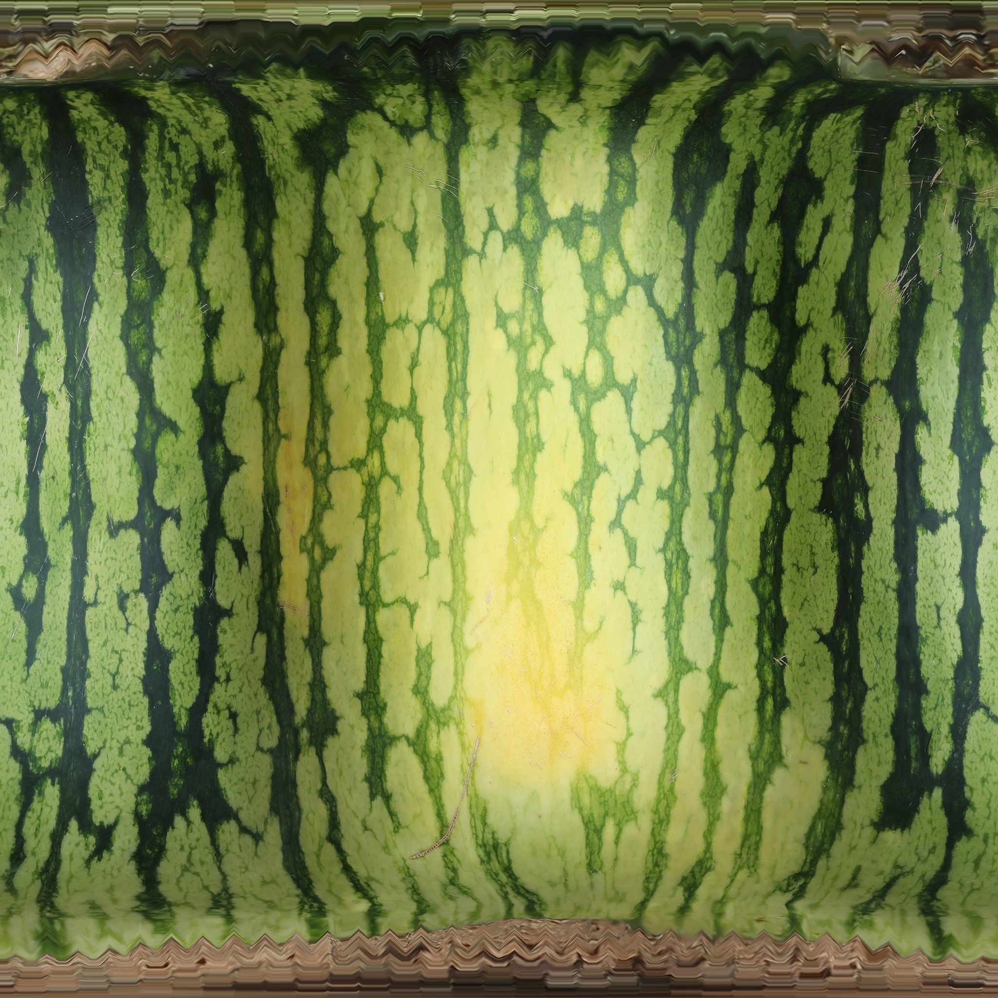 Ultra realistic Watermelon Scan 8k HD Low-poly 3D model_12