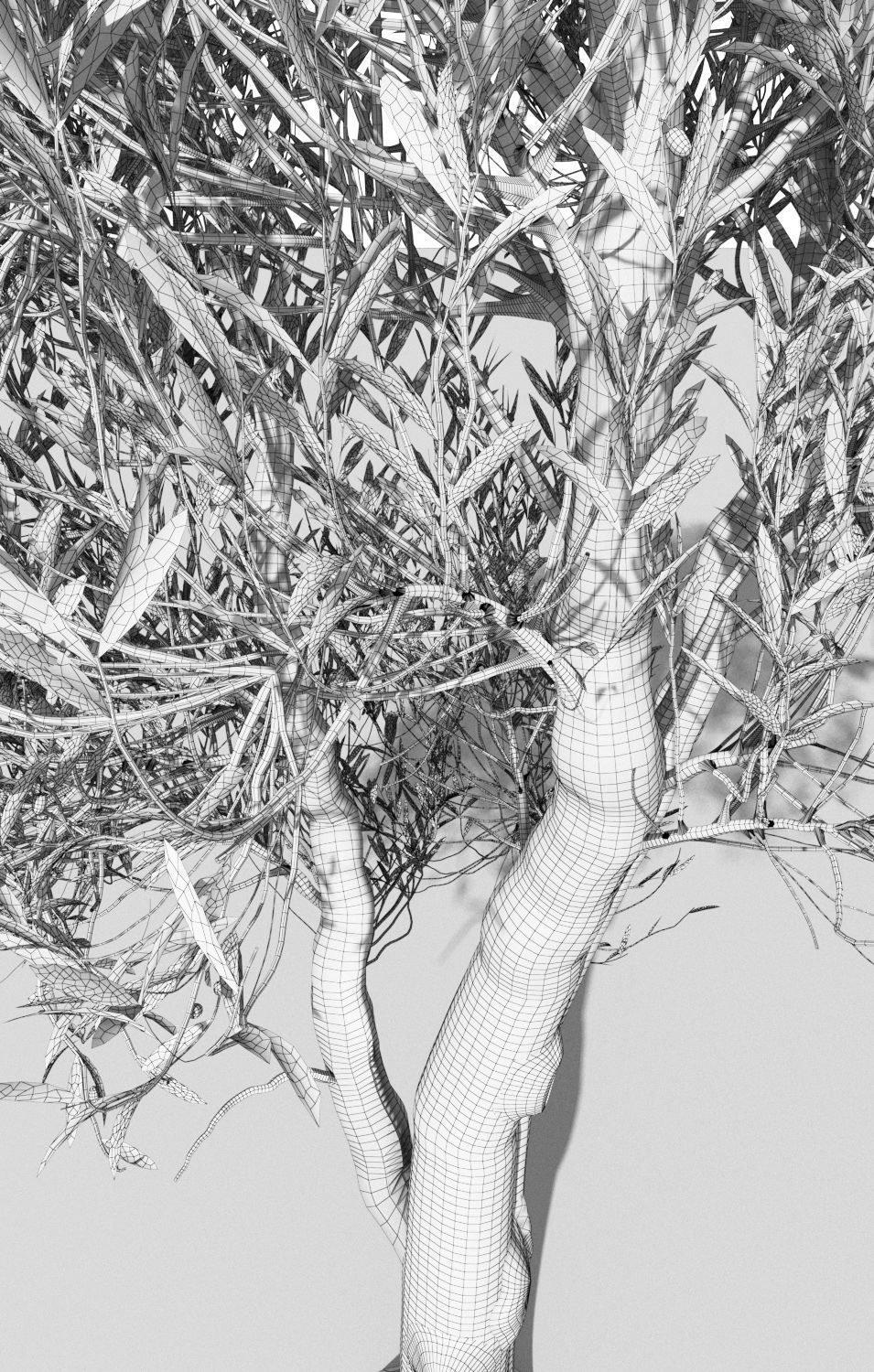 Olea europaea olive tree decorative A 3D model_5