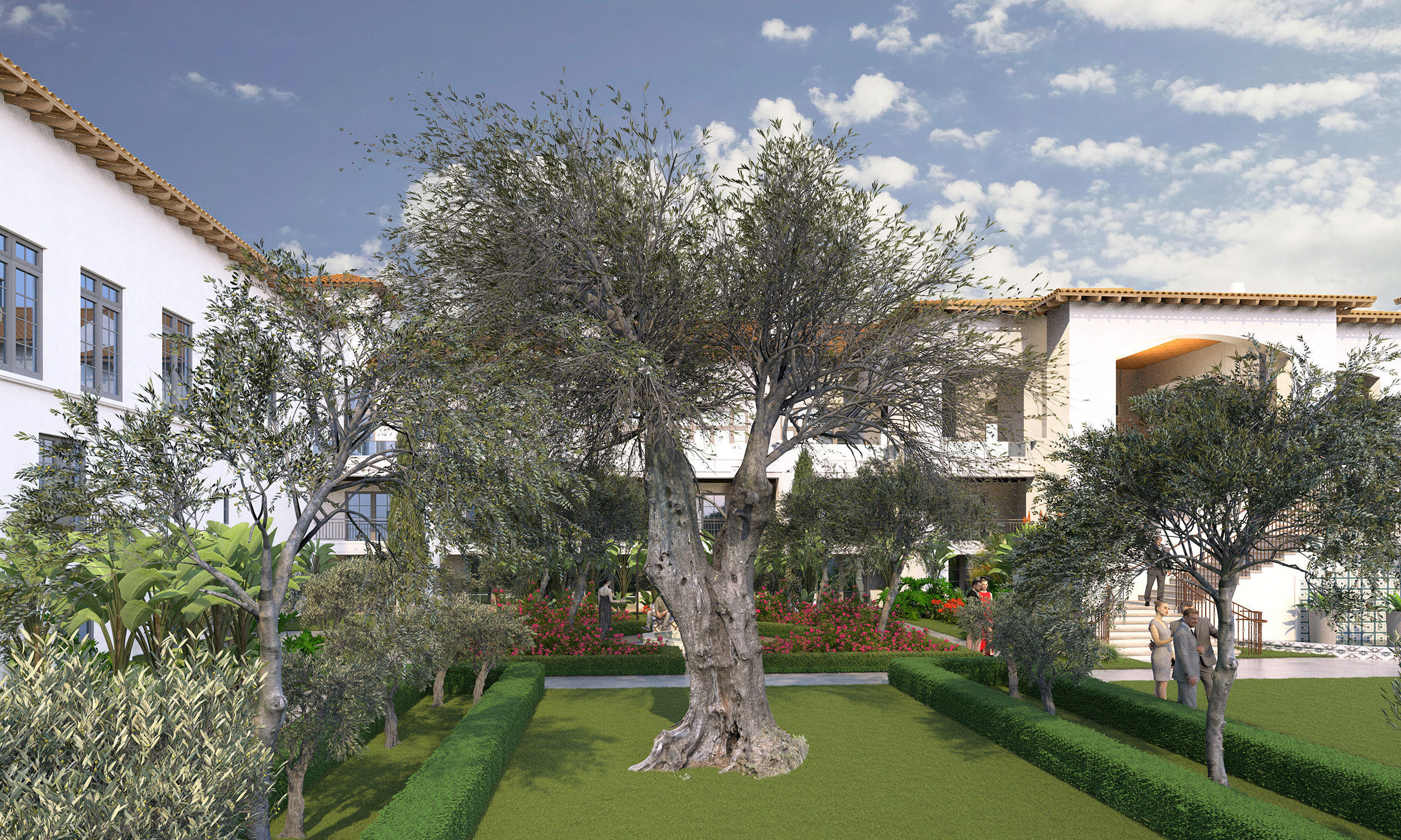 Olea europaea olive tree decorative A 3D model_6