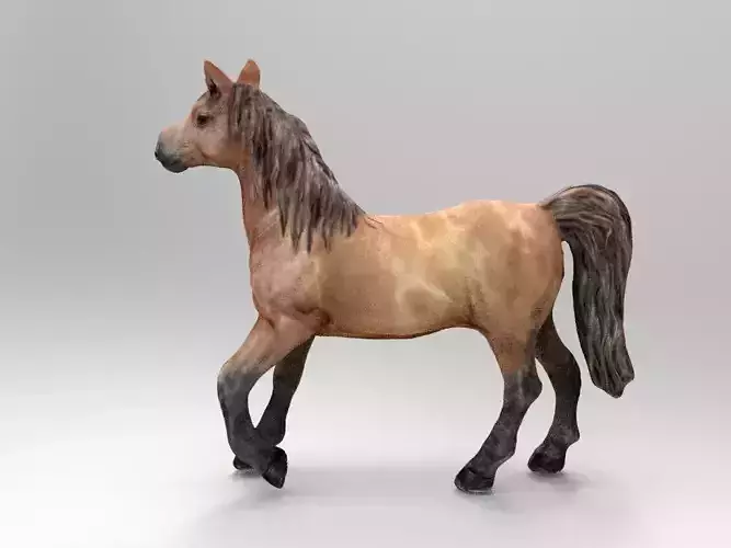 HORSE