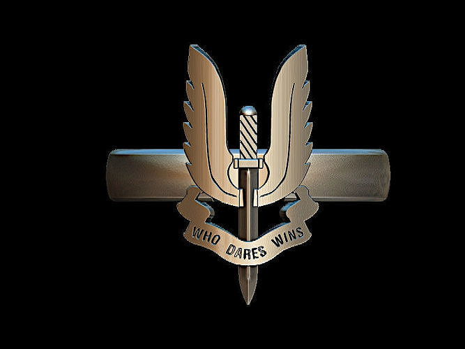 SAS mensring 3D print model
