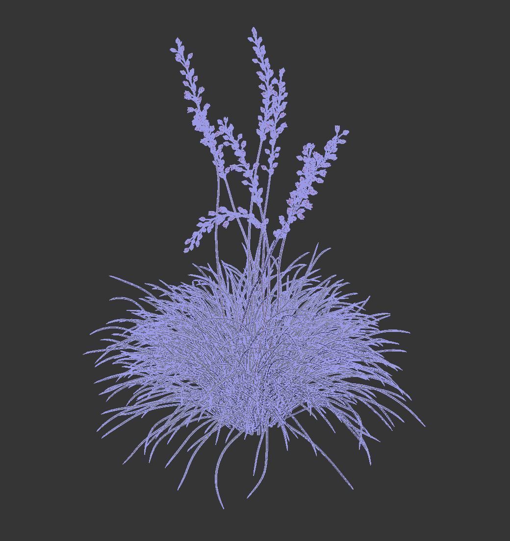Hesperaloe Parviflora - Red Yucca 3D model_8