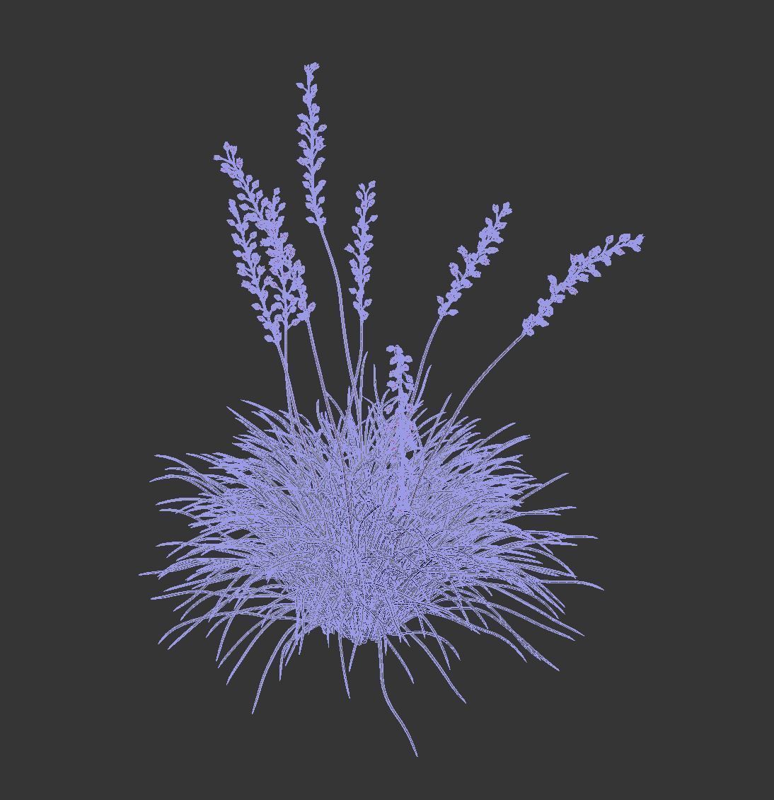 Hesperaloe Parviflora - Red Yucca 3D model_10