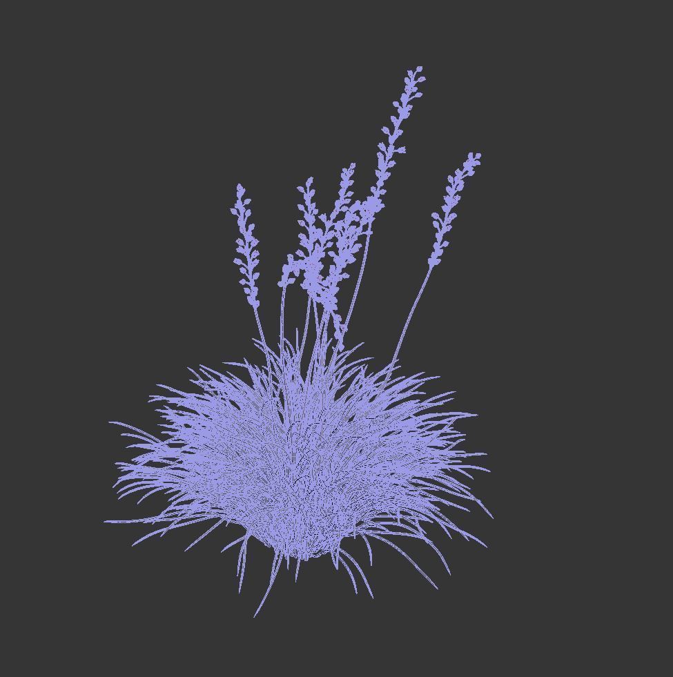 Hesperaloe Parviflora - Red Yucca 3D model_12