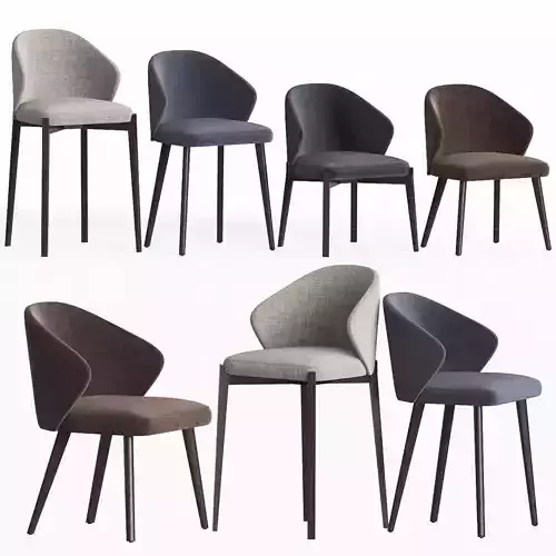 Ellen Astele Dining Chairs Set