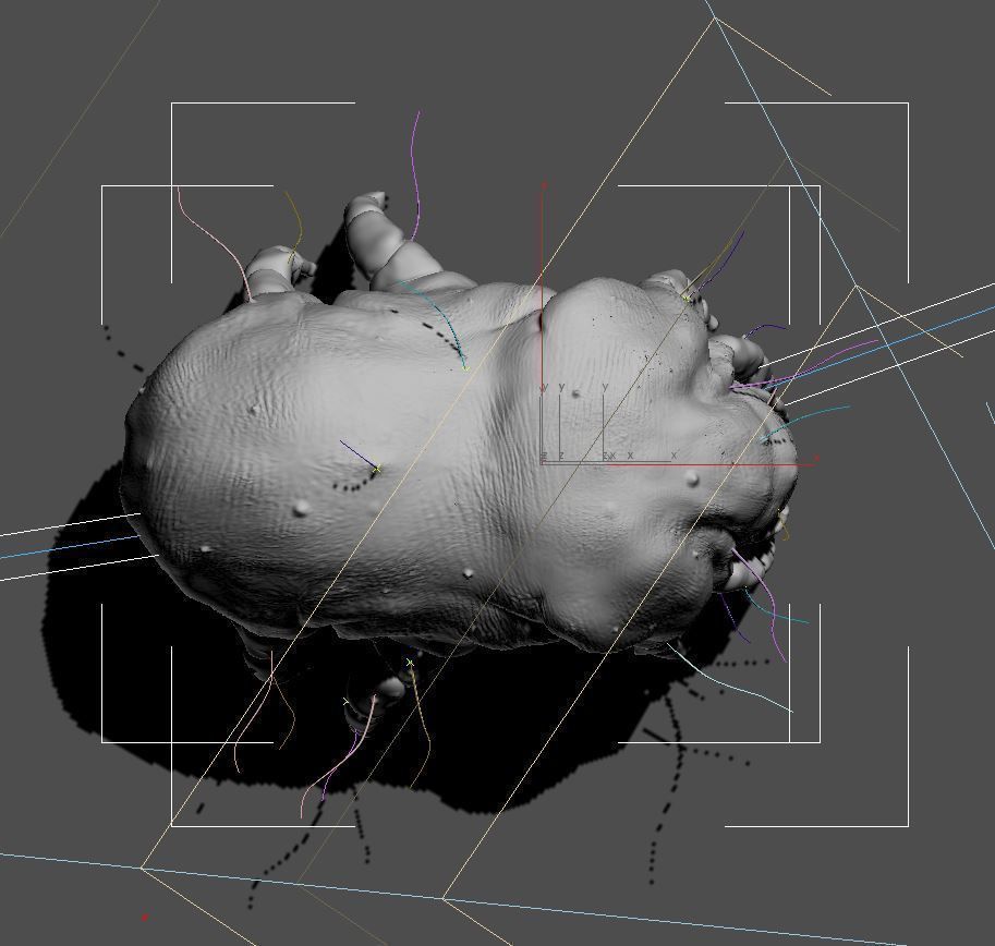Dust Mite 3D model_4