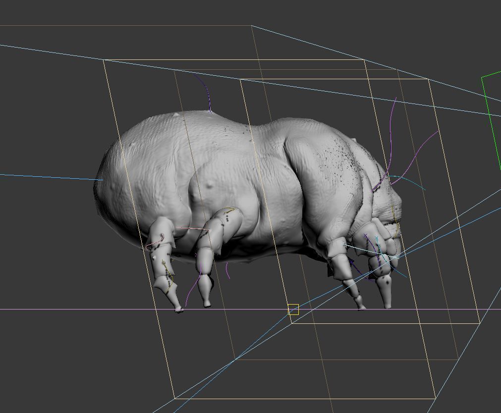 Dust Mite 3D model_3