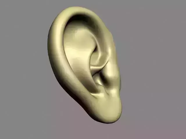 Human Ear Free low-poly 3D model