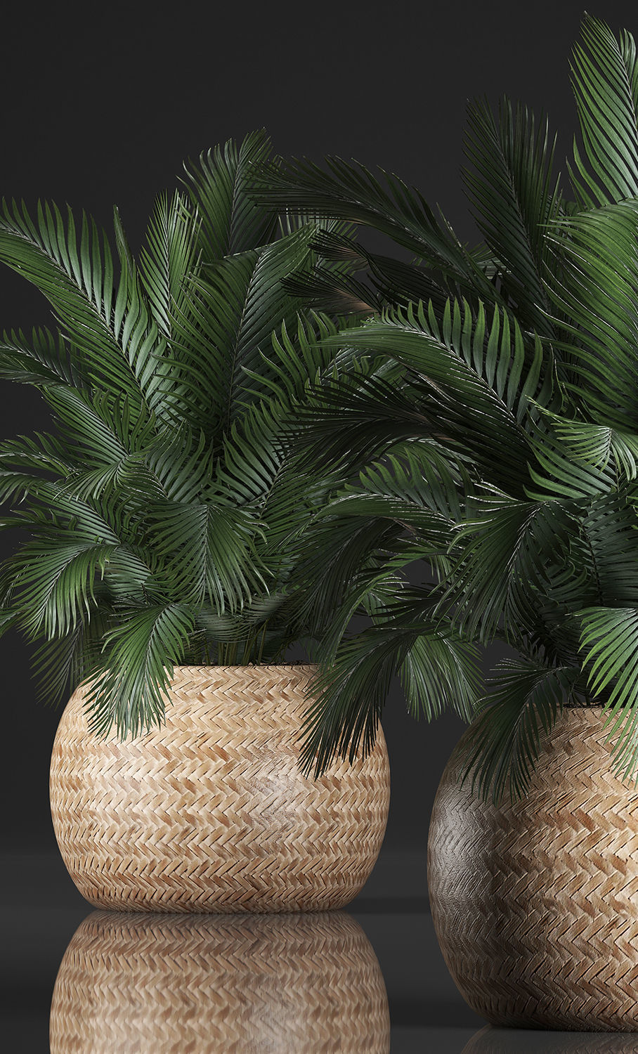 Decorative palm tree in a pot 3D model_3