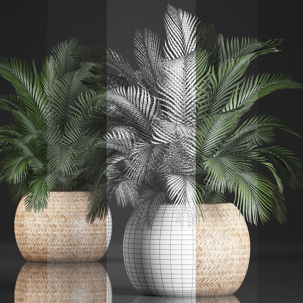 Decorative palm tree in a pot 3D model_8