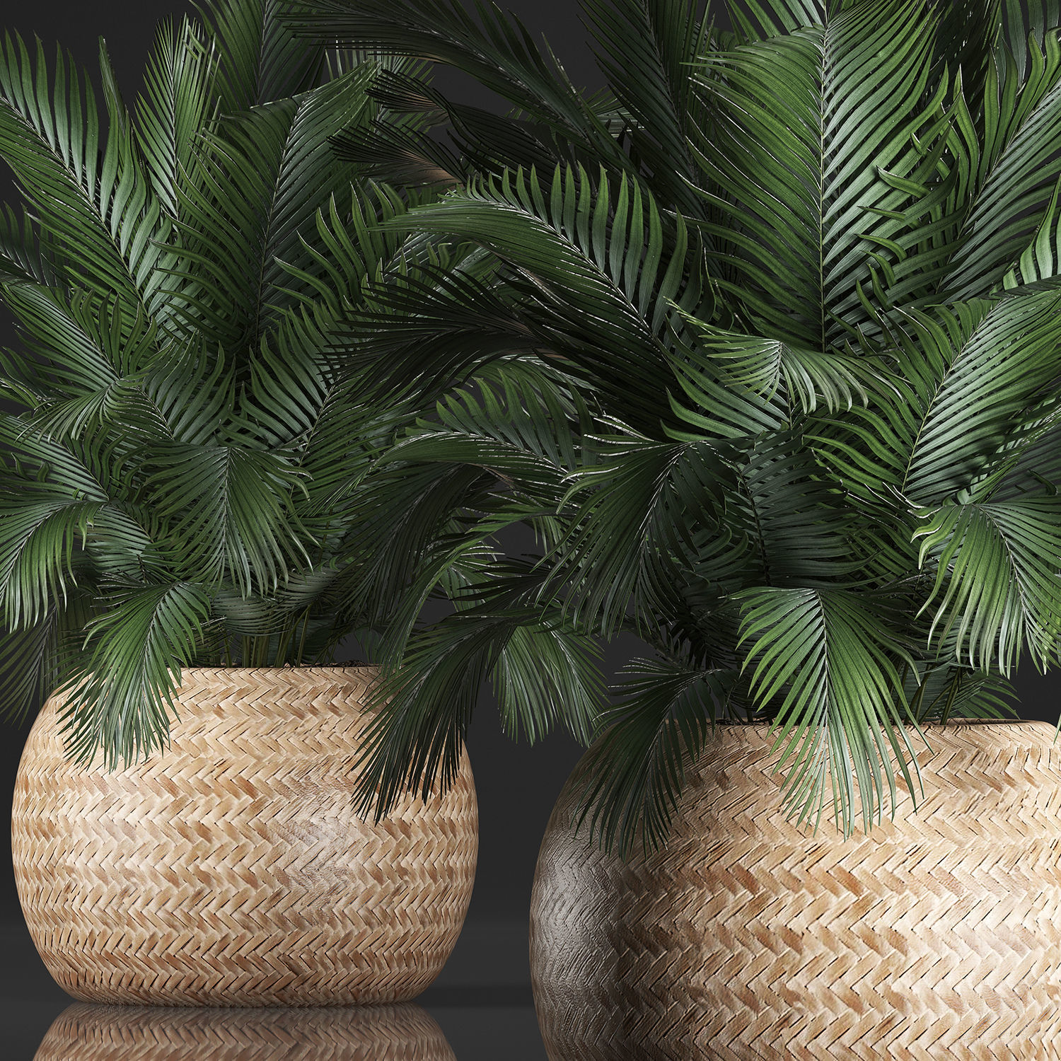 Decorative palm tree in a pot 3D model_1