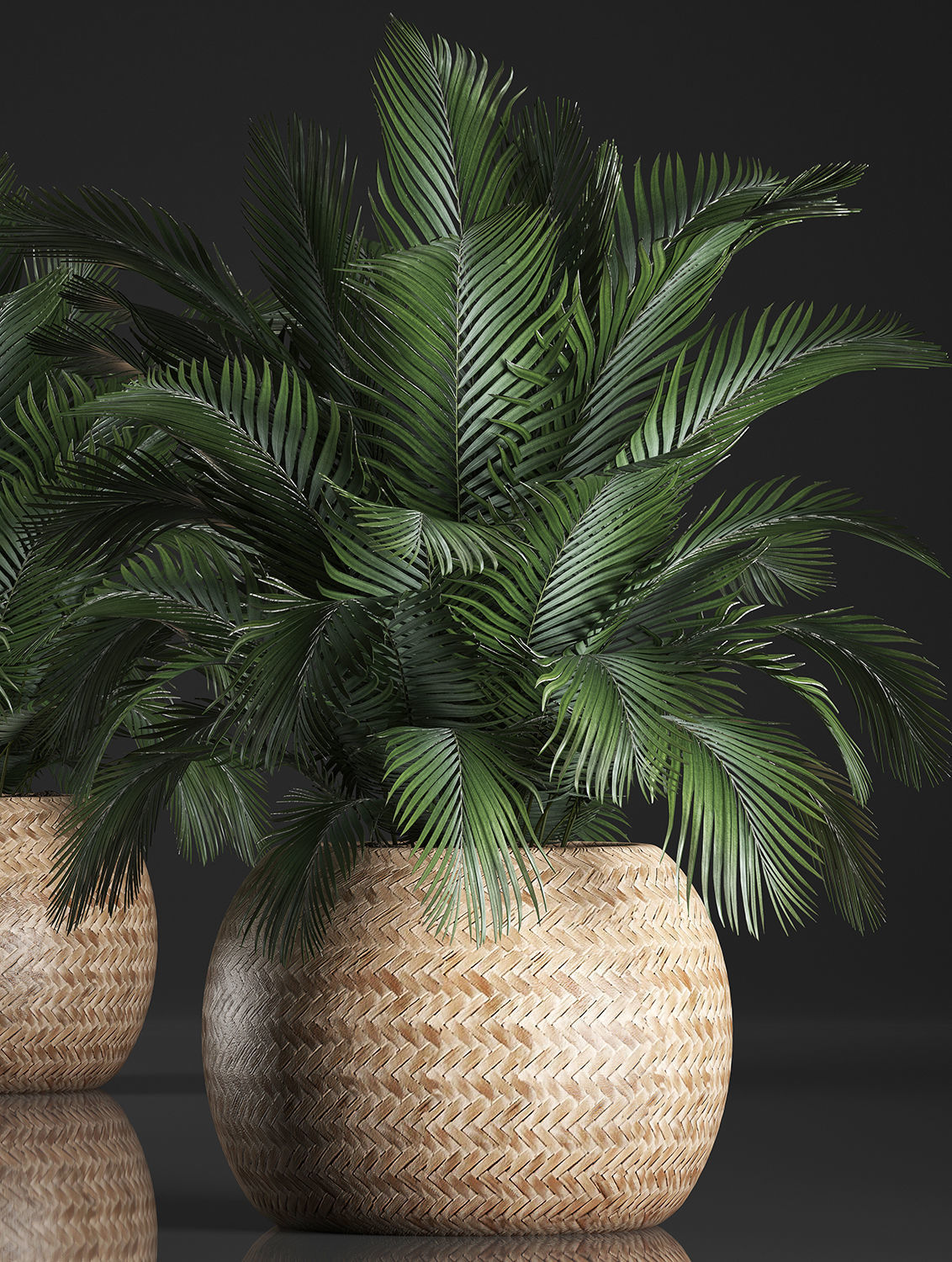 Decorative palm tree in a pot 3D model_2