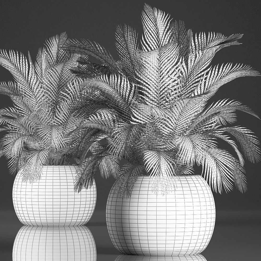 Decorative palm tree in a pot 3D model_7
