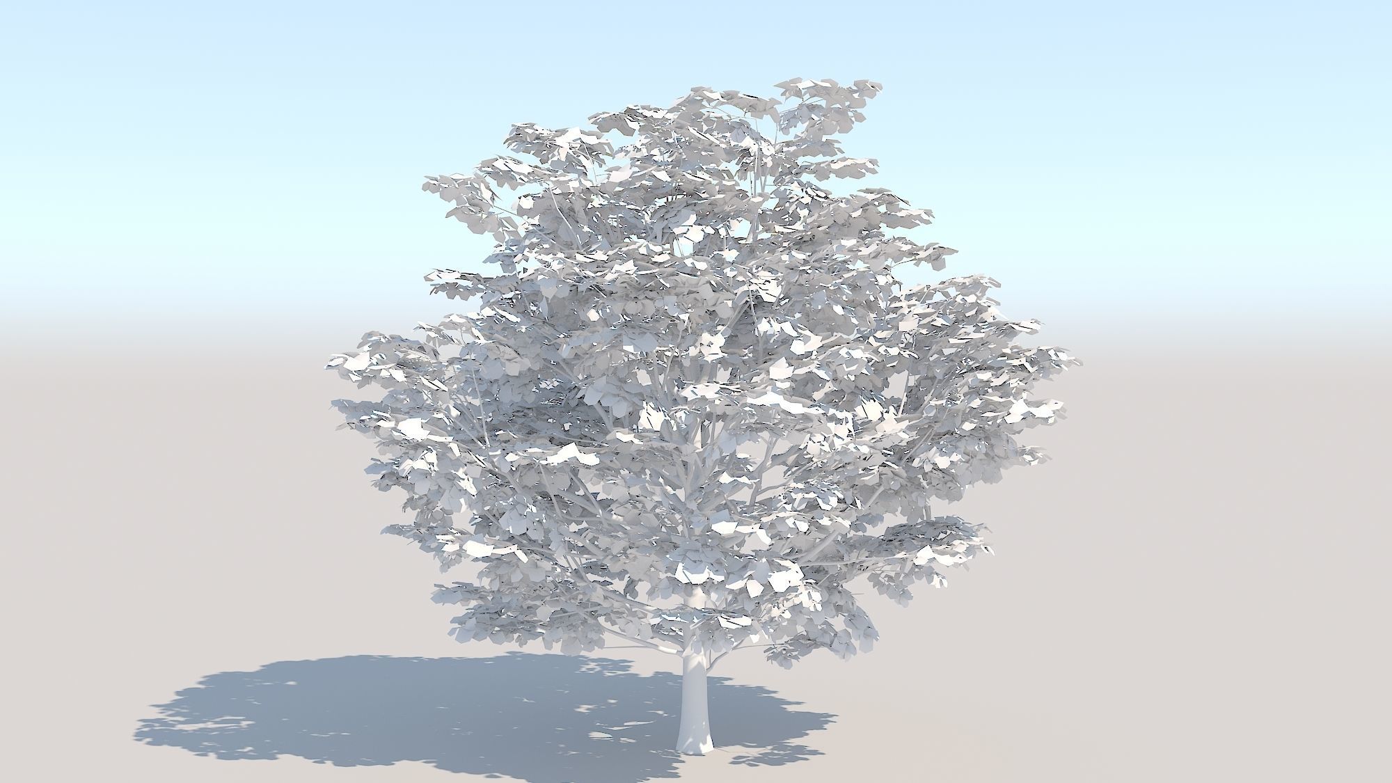 Maple Acer Tree 06 ArchViz 3D model_14