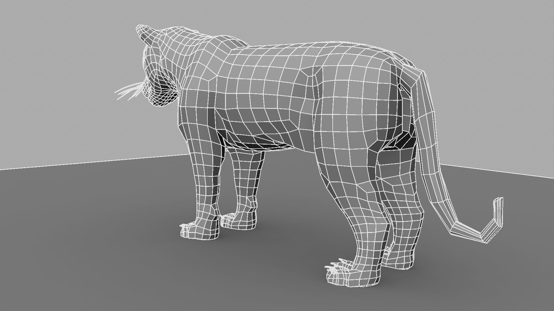 Tiger 3D model_20