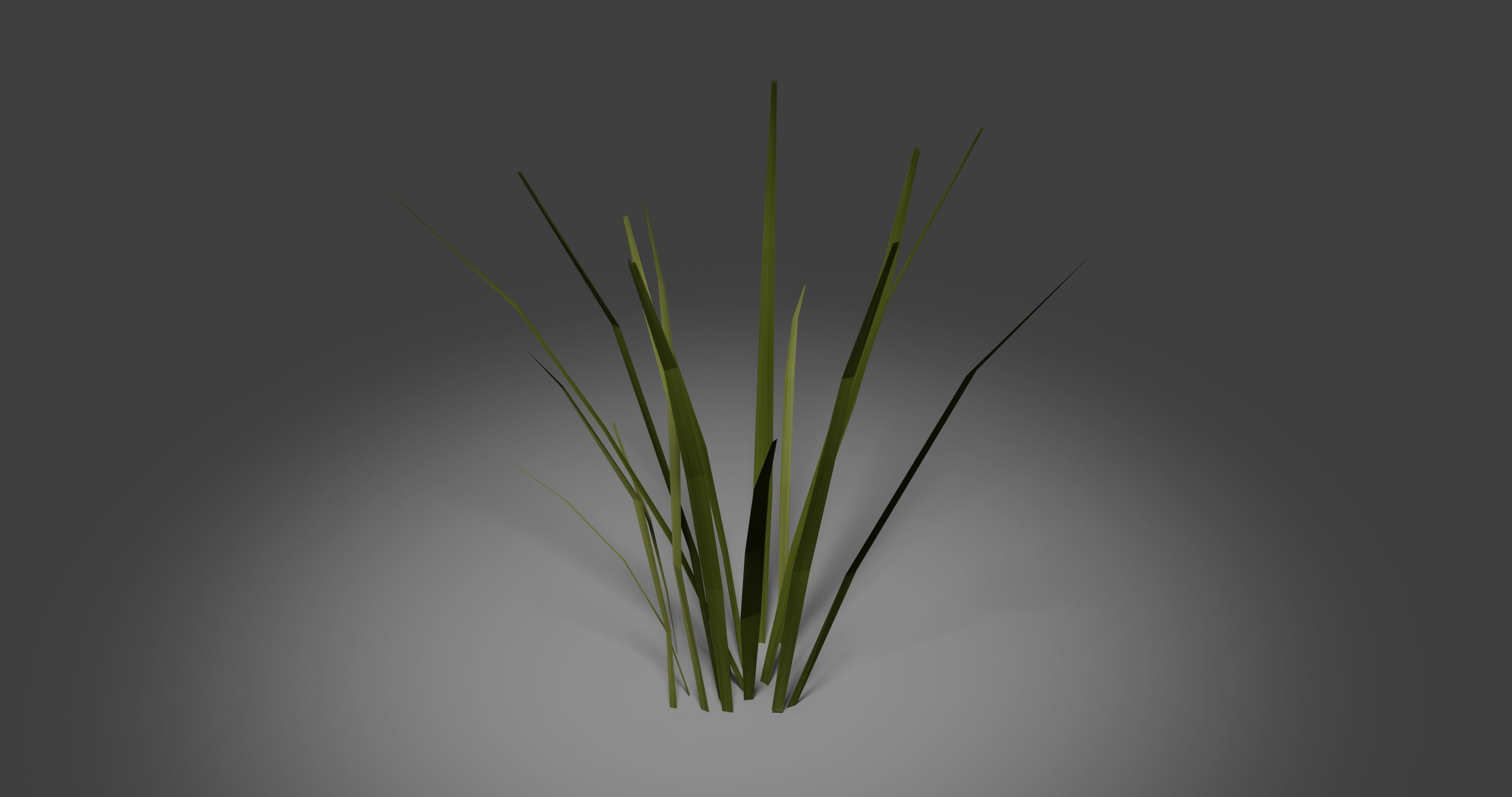 Grass Low-poly 3D model_2