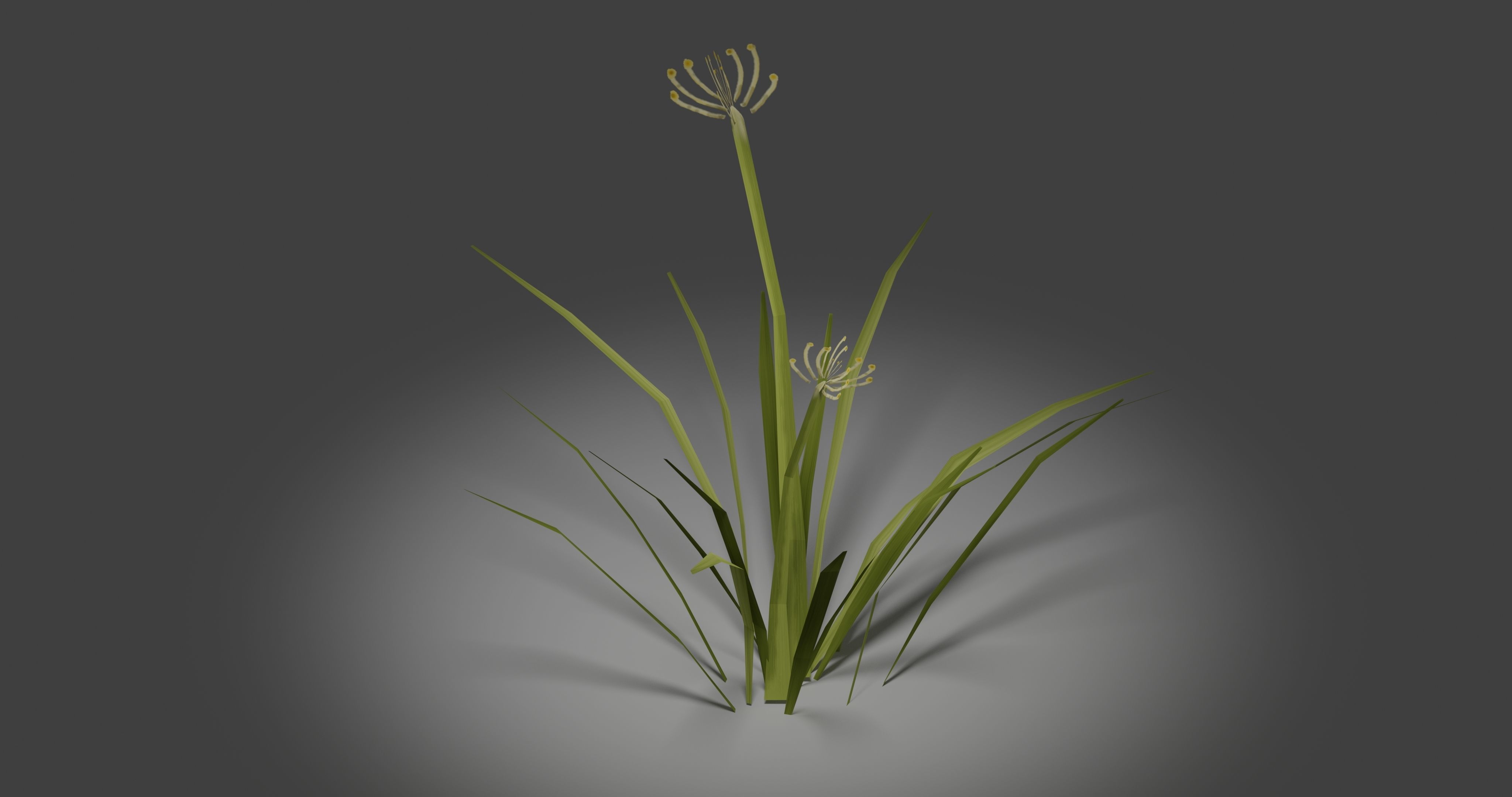 Grass Low-poly 3D model_3