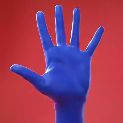 Male Hand 8 Neutral Pose