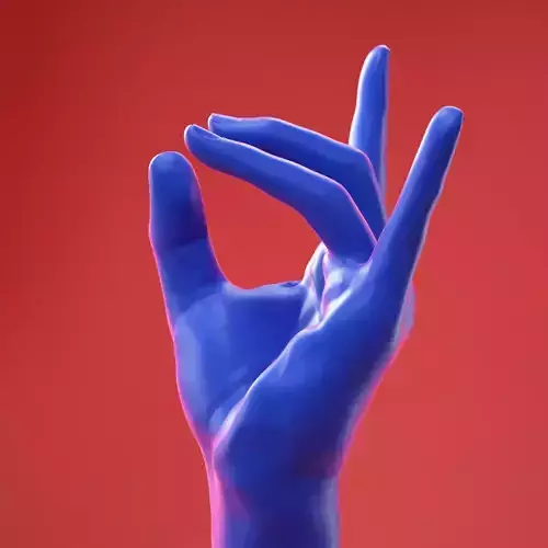 Male Hand 28 3D model