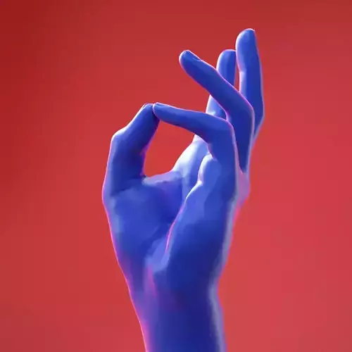 Male Hand 22 3D model