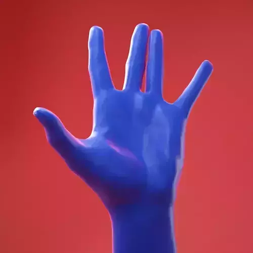 Male Hand 21 3D model