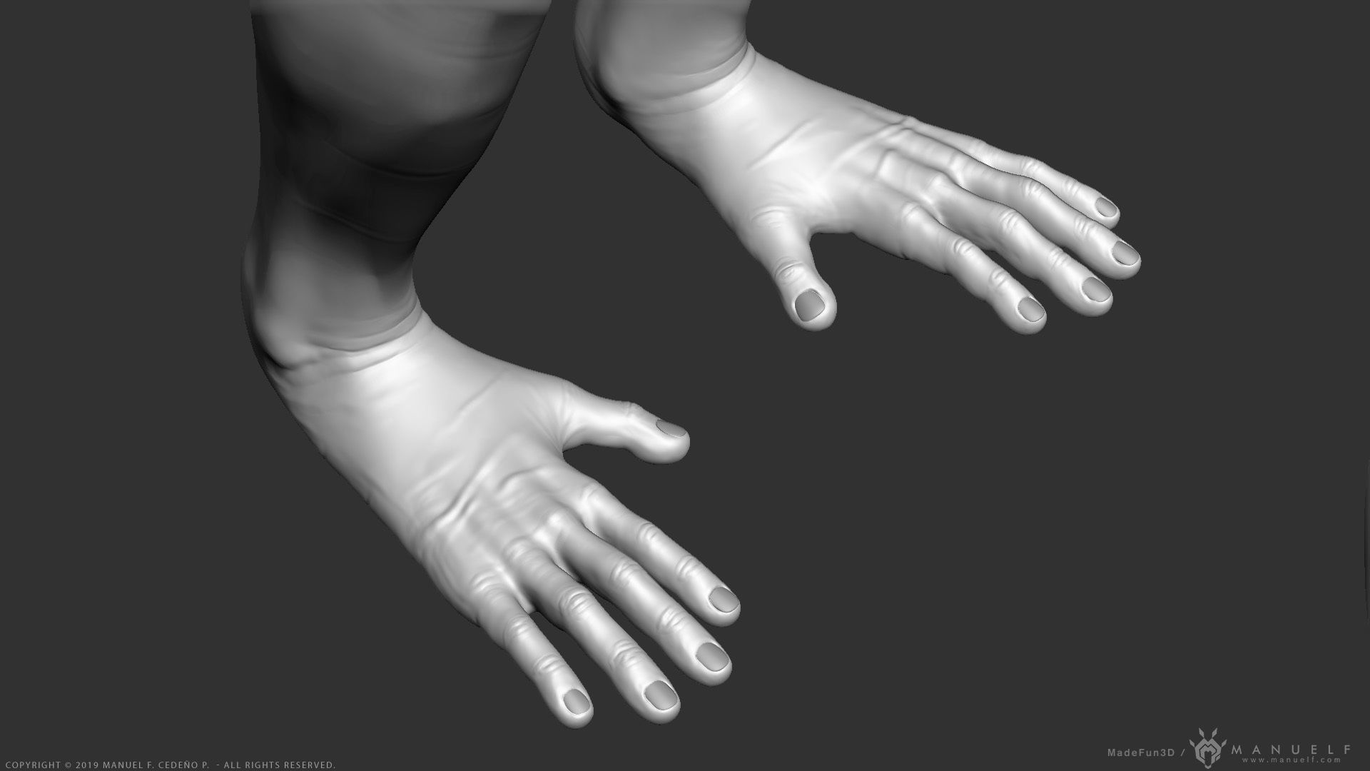 Rhesus Macaque Monkey - Highpoly Sculpture 3D model_19