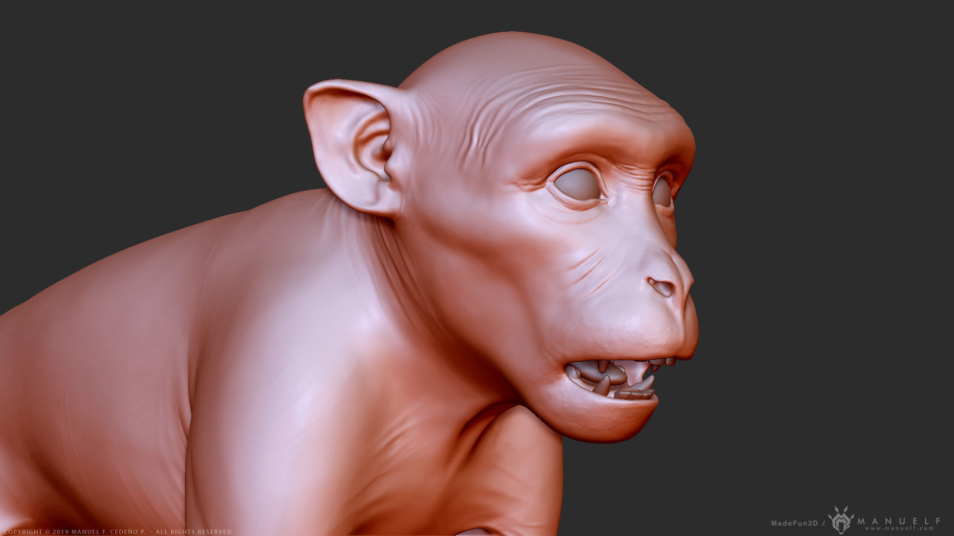 Rhesus Macaque Monkey - Highpoly Sculpture 3D model_8
