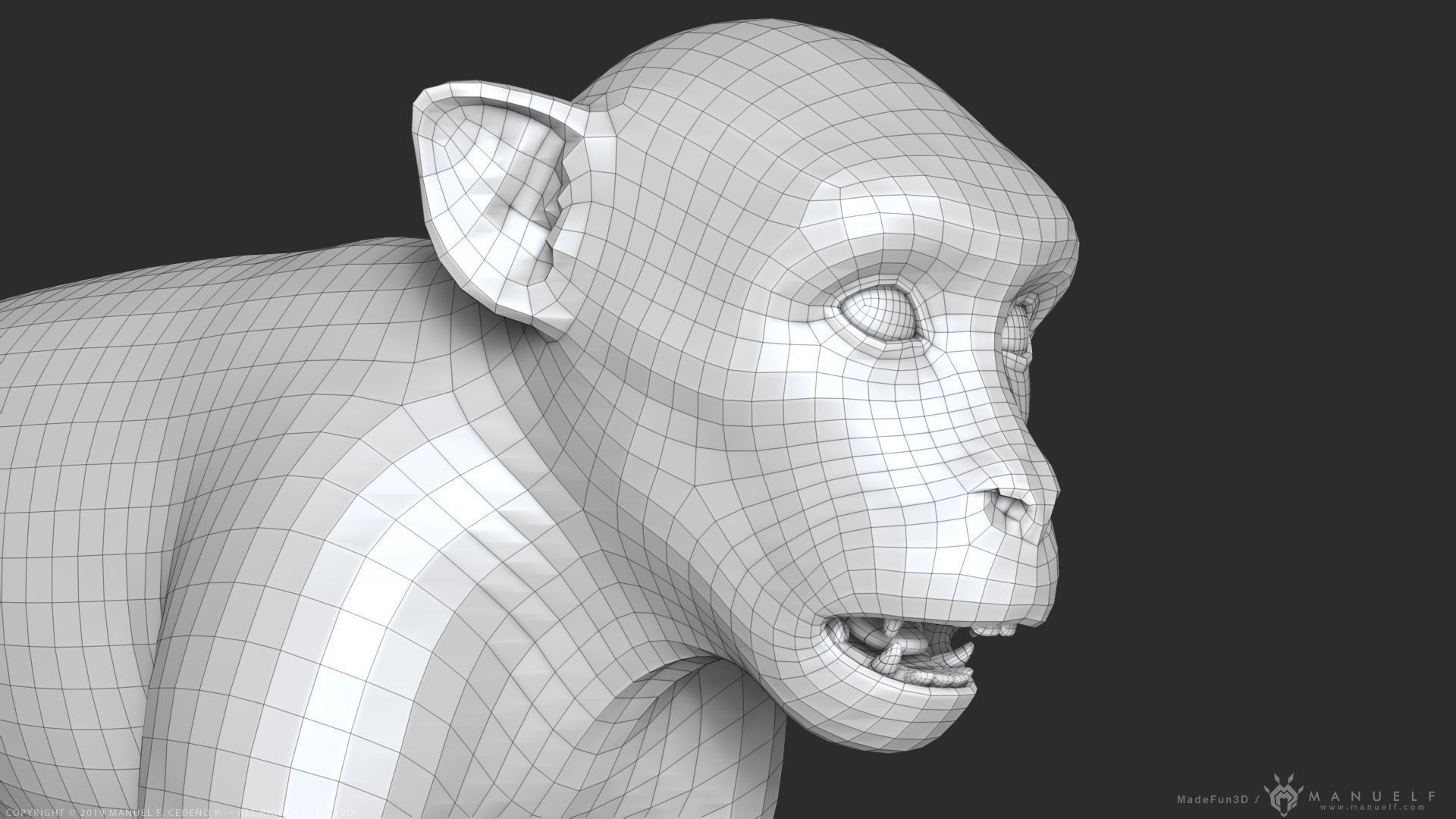 Rhesus Macaque Monkey - Highpoly Sculpture 3D model_22