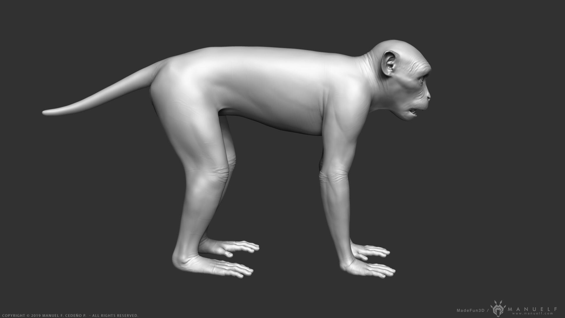 Rhesus Macaque Monkey - Highpoly Sculpture 3D model_3