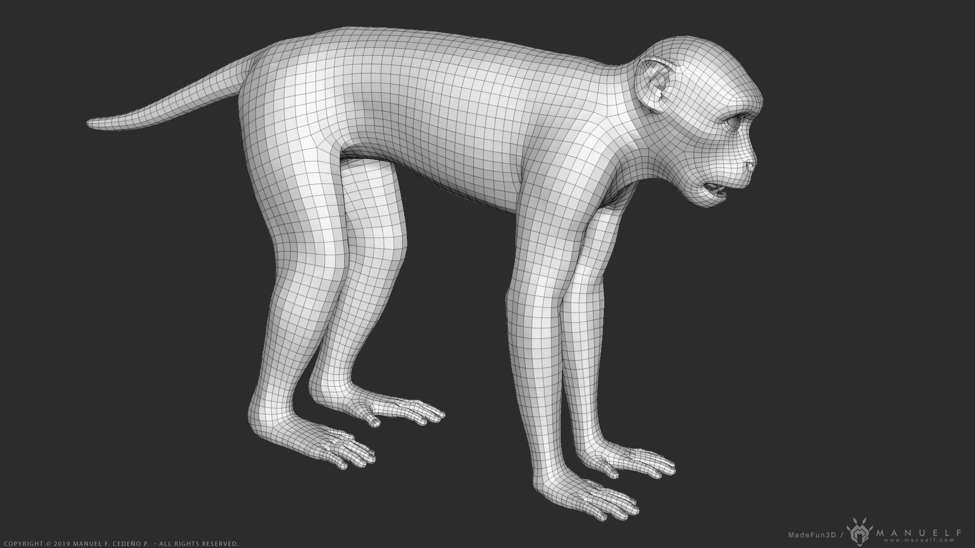 Rhesus Macaque Monkey - Highpoly Sculpture 3D model_20