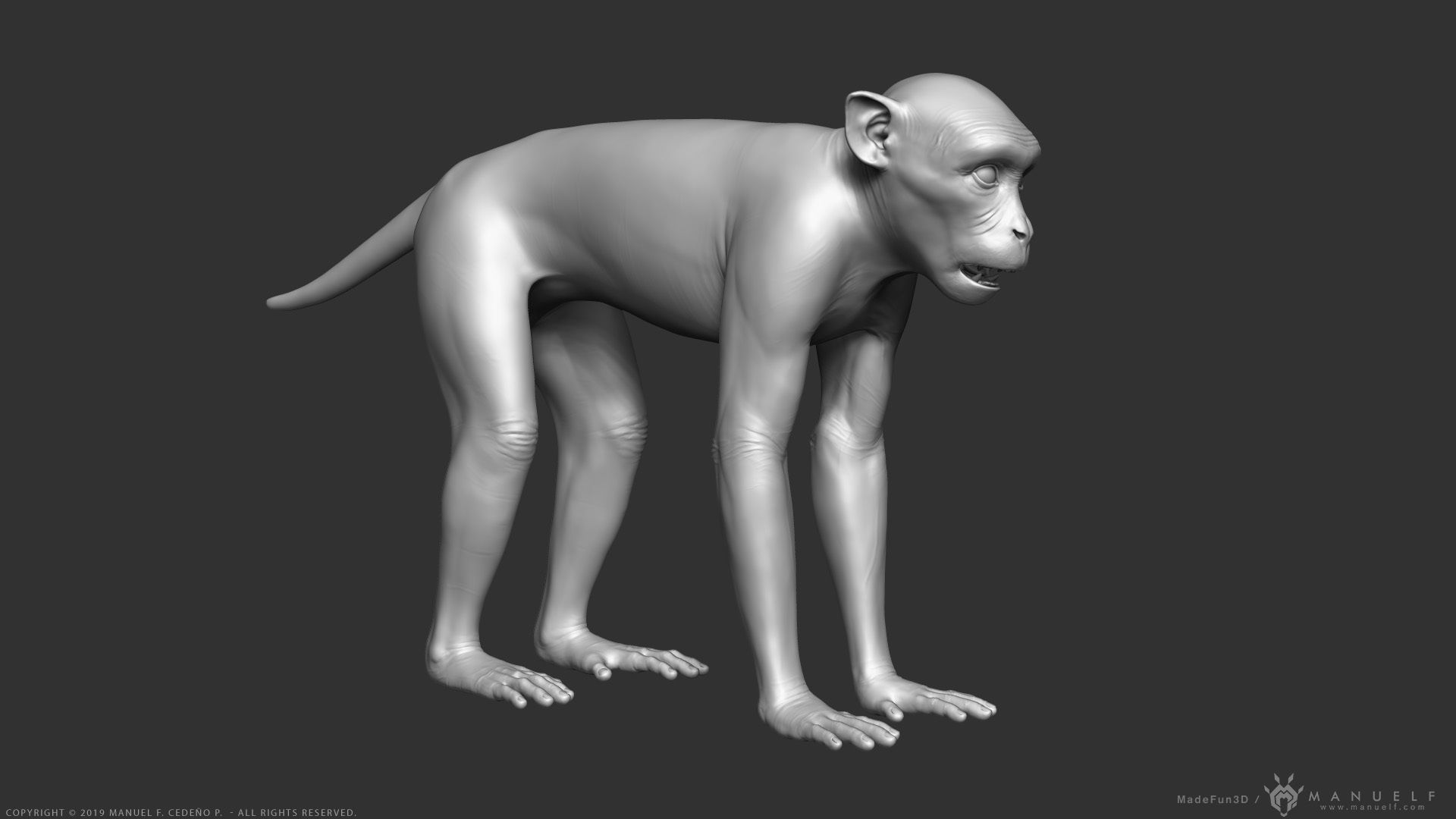 Rhesus Macaque Monkey - Highpoly Sculpture 3D model_1