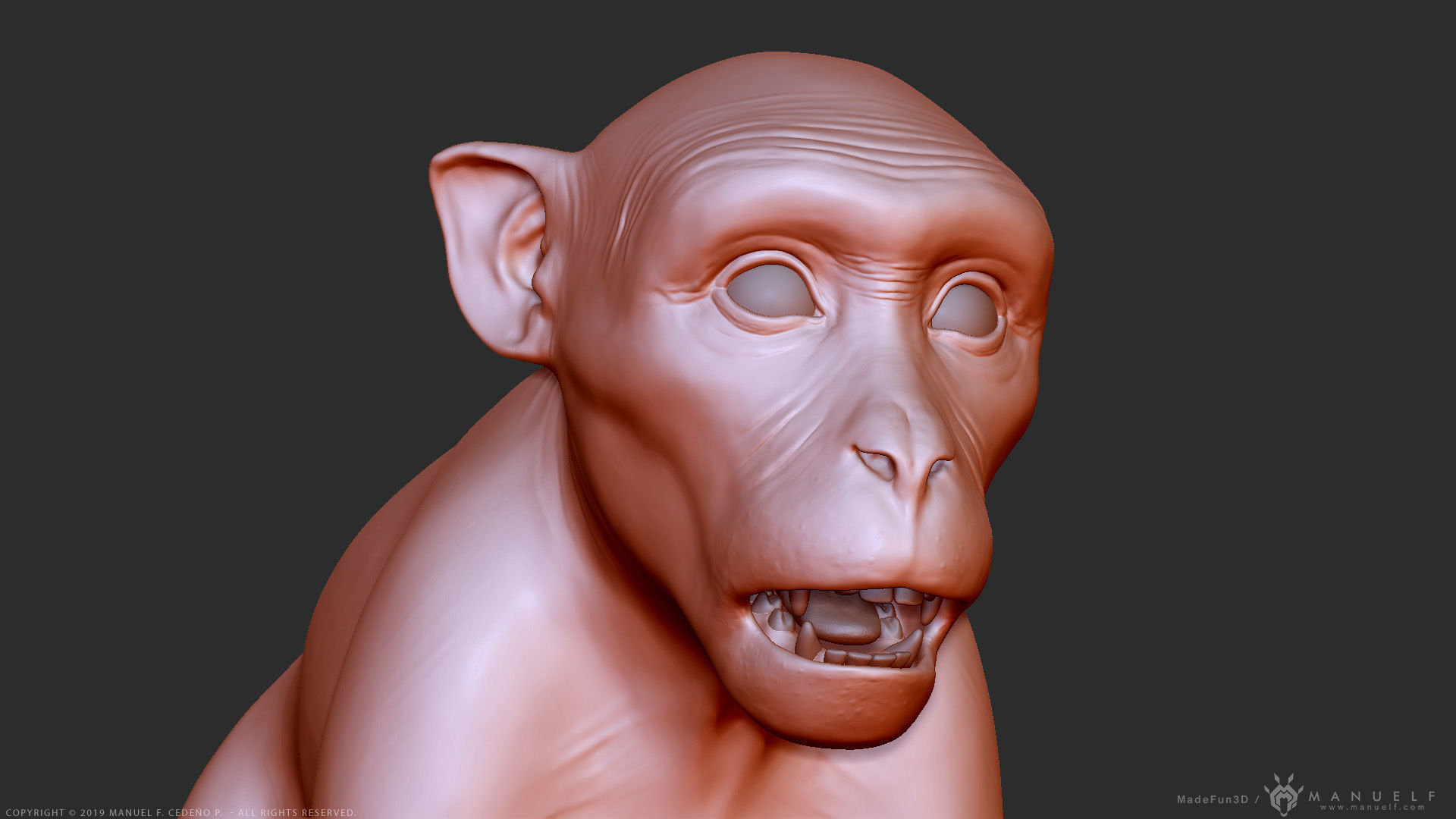 Rhesus Macaque Monkey - Highpoly Sculpture 3D model_11