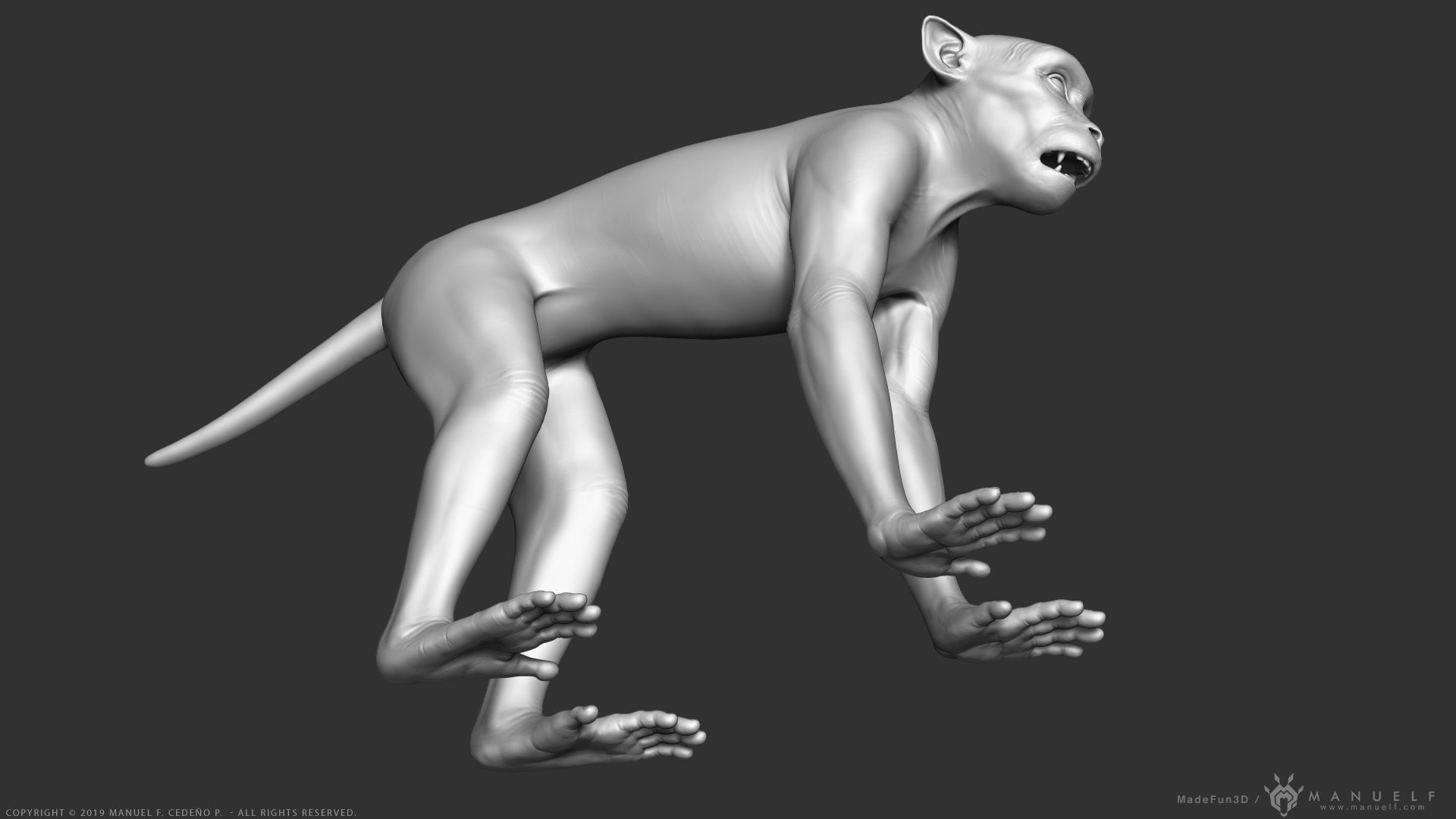 Rhesus Macaque Monkey - Highpoly Sculpture 3D model_5