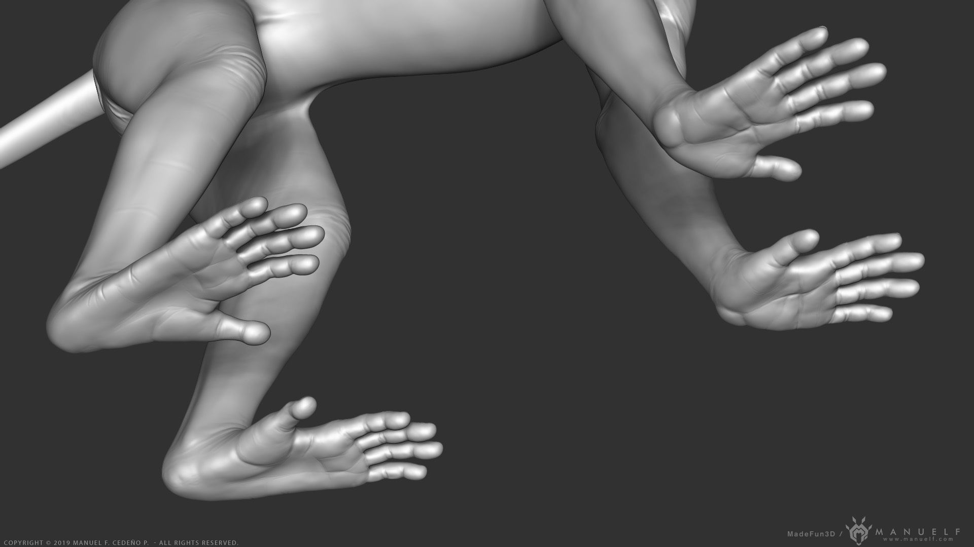 Rhesus Macaque Monkey - Highpoly Sculpture 3D model_17