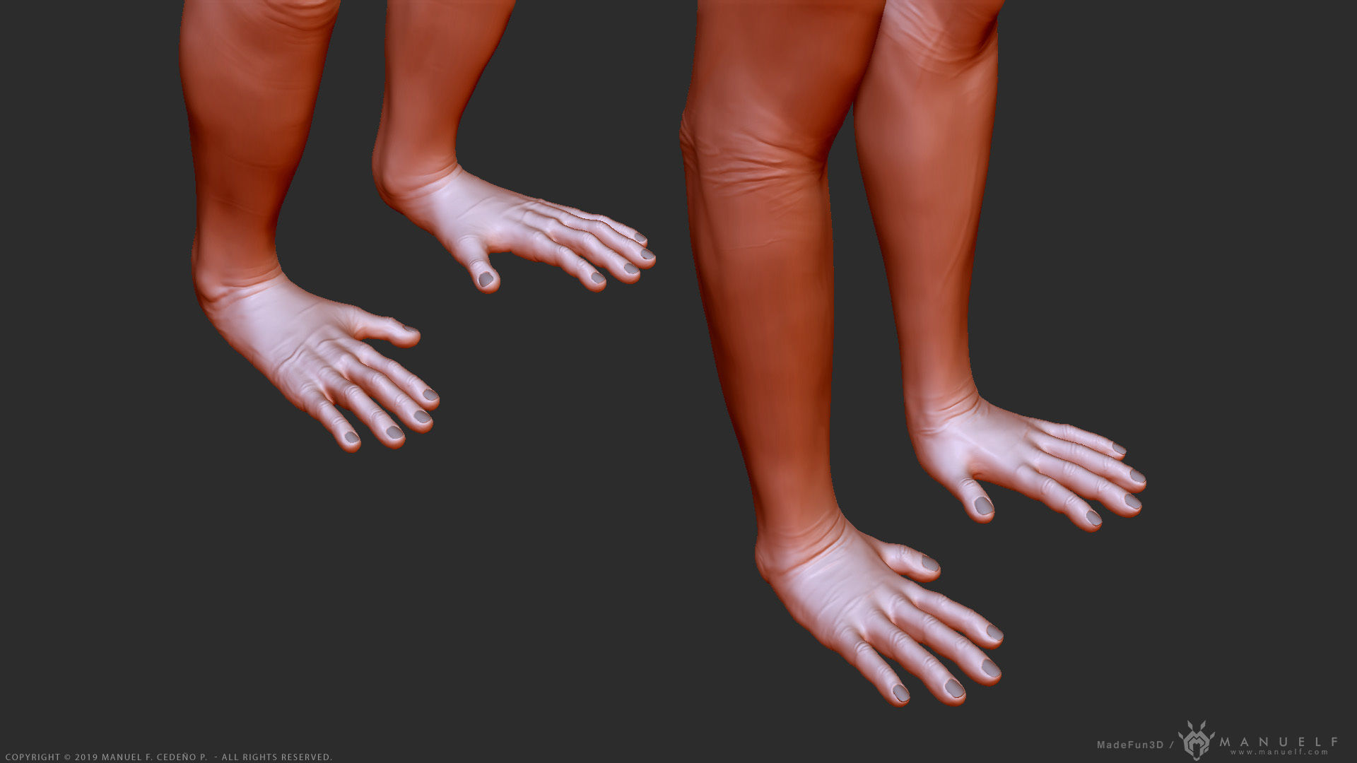 Rhesus Macaque Monkey - Highpoly Sculpture 3D model_15