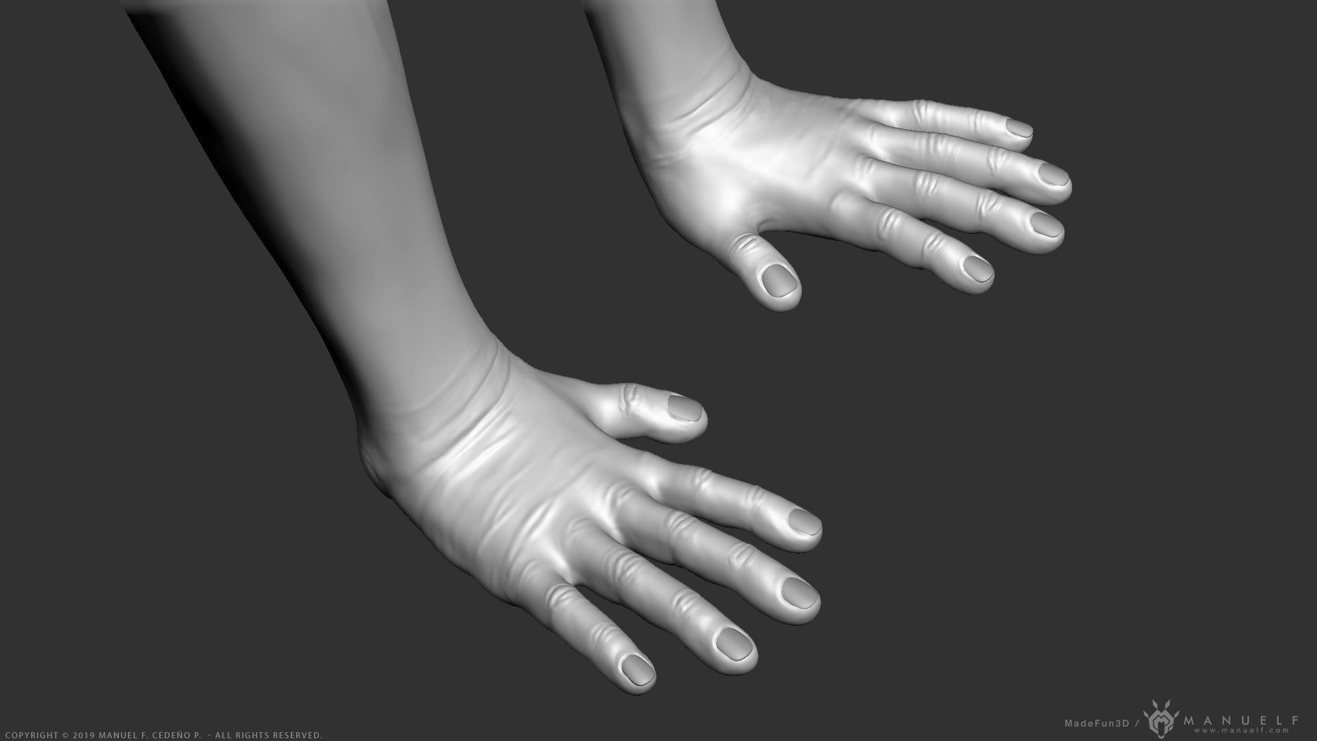 Rhesus Macaque Monkey - Highpoly Sculpture 3D model_18