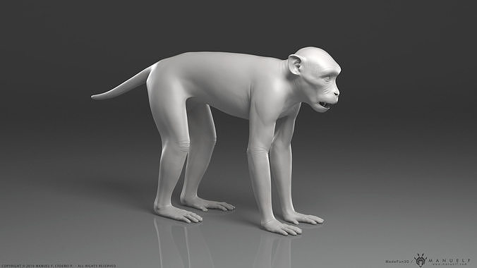 Rhesus Macaque Monkey - Highpoly Sculpture 3D model